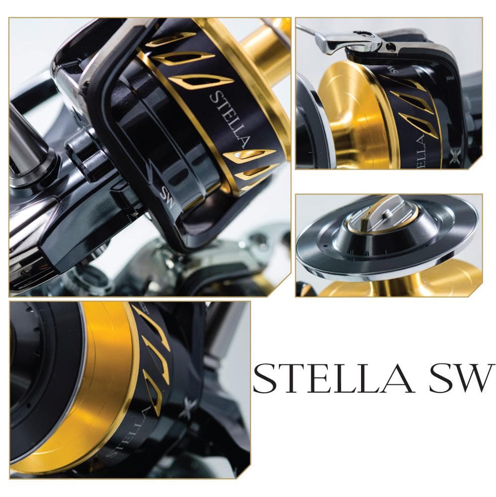 SHIMANO Stella SW 10000 PG C New 2020
