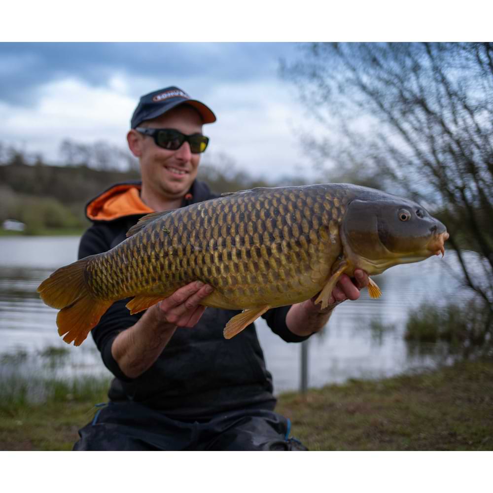 SONUBAITS Supercrush Power Scopex - 2kg