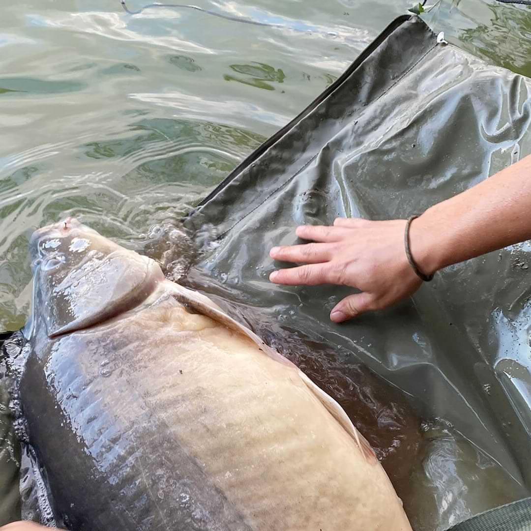 STRATEGY Origami Mat