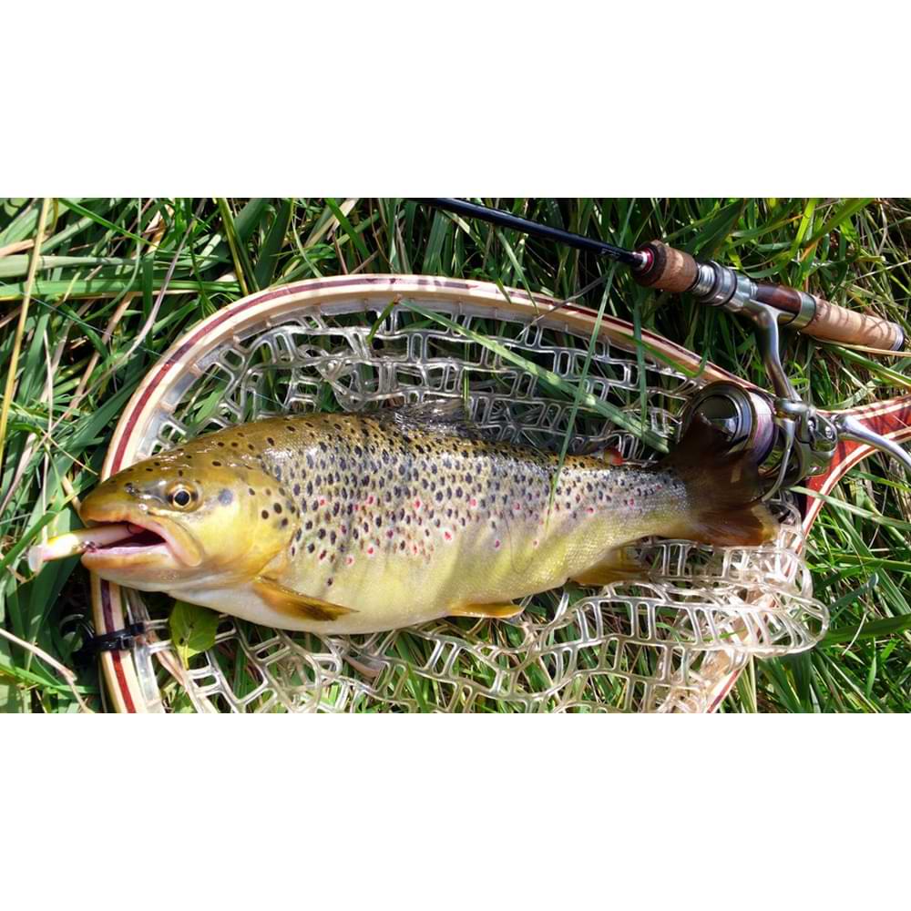 TAILWALK Troutia 53L FSL 160cm 7g