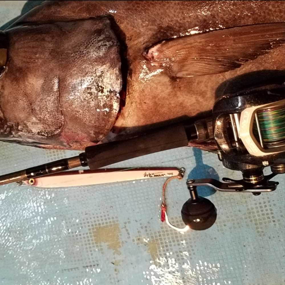 TAILWALK Elan Wide Power 71BL