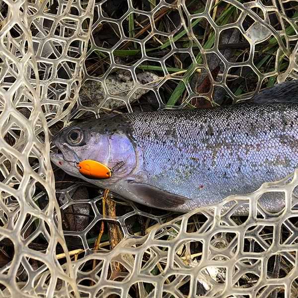 TROUT MASTER Soft Net Head 50x30cm