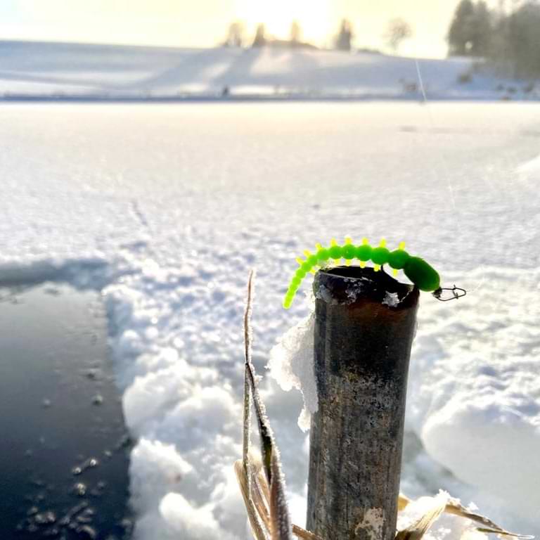 TROUT MASTER Millika 70