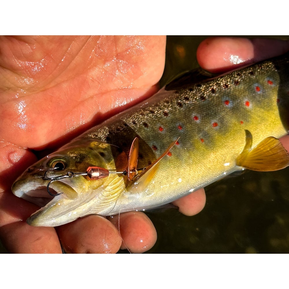 TROUT MASTER La Tournante Size1 2.5g