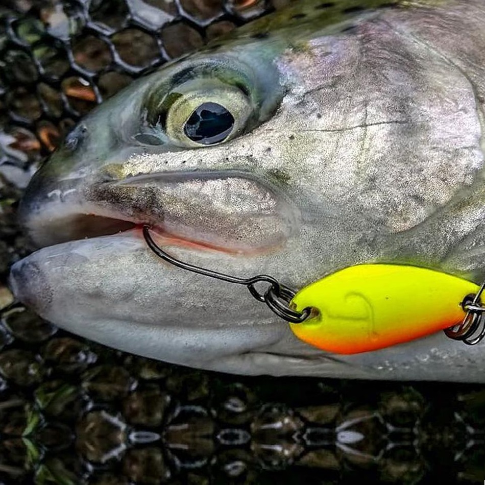 TROUT MASTER ATS Spoon 2.1g