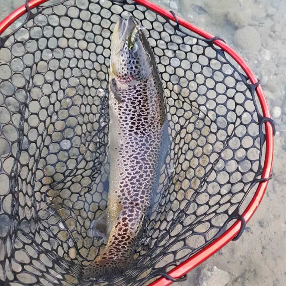 VALKEIN Kuga WW 40mm 2.9g Floating