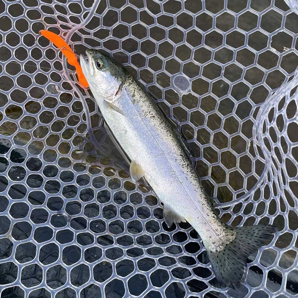 VALKEIN Kuga Dimension L SS 60mm 3.5g Slow Sinking