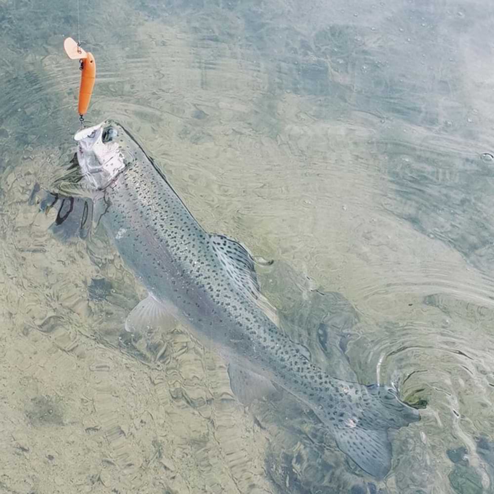 VALKEIN Hydram Nano F 55mm 2.8g Floating