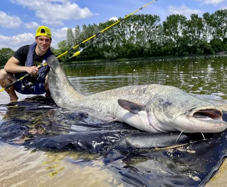 BLACK CAT Baby Cranker 12cm 25g