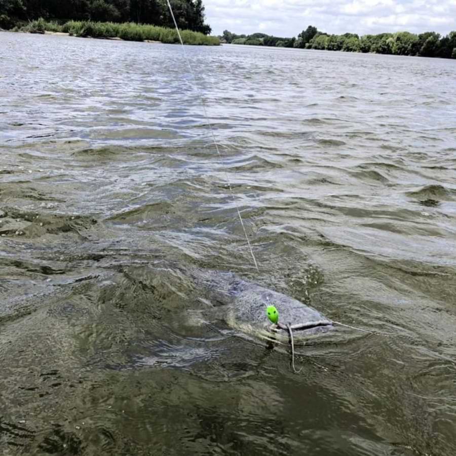 BLACK CAT Baby Cranker 12cm 25g