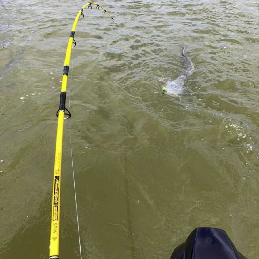 BLACK CAT Cranker 16cm 50g