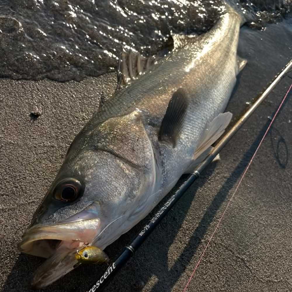 ZIP BAITS ZBL Fakie Dog 90mm 12g Floating