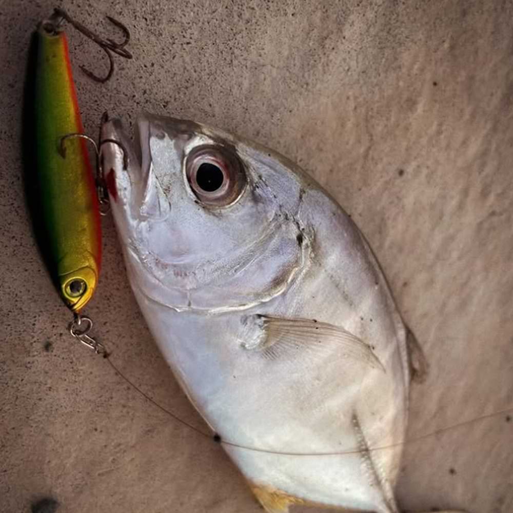 ZIP BAITS ZBL Raphael 45mm 4.5g Sinking